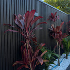 Charcoal Black Outdoor Composite Cladding